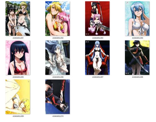 Plakat Akame ga Kill DO WYBORU na Arena.pl