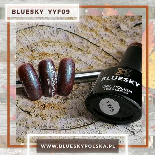 BlueSky Seria YYF09 na Arena.pl