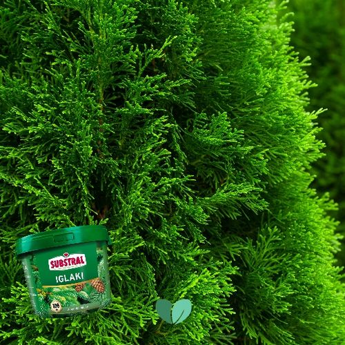 NAWÓZ DO IGLAKA 100DNI 5KG SUBSTRAL na Arena.pl