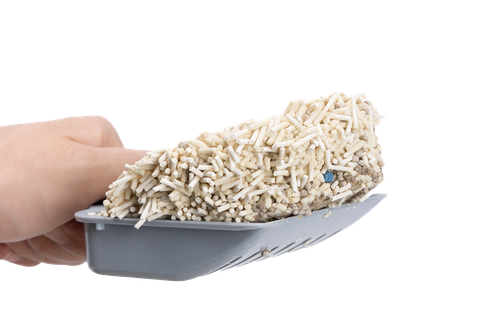 ŻWIREK TOFU z bentonitem zbrylający dla kota mix mleczny 2,5kg SNAPPY na Arena.pl