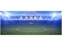 100X40CM STADION OBRAZ DREWNO