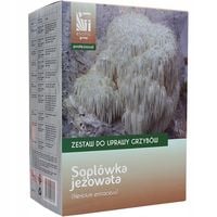 Soplówka jeżowata zestaw do uprawy grzybów