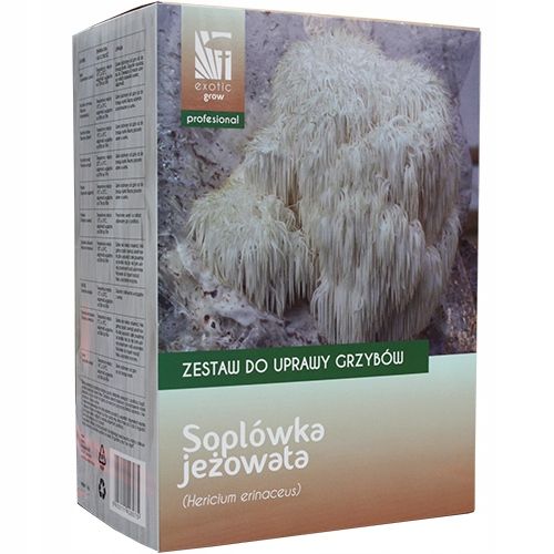 Soplówka jeżowata zestaw do uprawy grzybów na Arena.pl