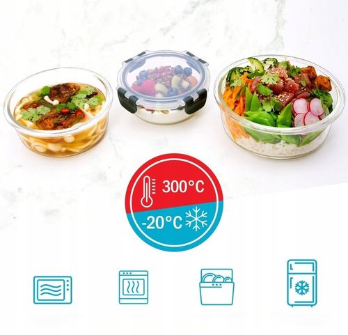 10 X LUNCHBOX SZKLANE POJEMNIKI NA ŻYWNOŚĆ USZCZELKA ŻAROODPORNE ZESTAW na Arena.pl