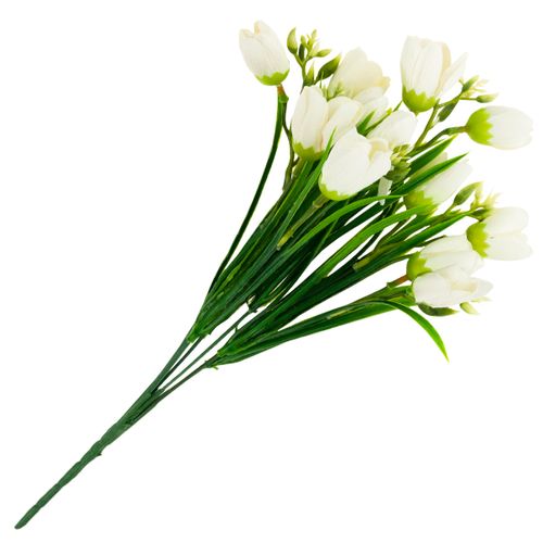 KROKUS BUKIET KROKUSÓW KROKUSY W TRAWIE BIAŁE na Arena.pl