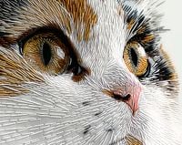 Plakat 76x60,5cm Nitkowany Kot