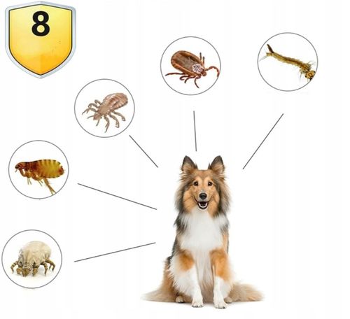 Obroża dla psa na kleszcze i pchły 63 cm – 8 miesięcy ochrony + GRATIS na Arena.pl