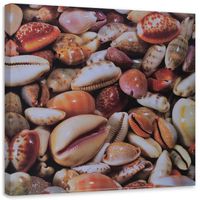 product-compare-57607570