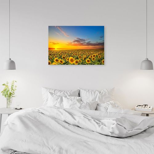 Obraz na płótnie – Canvas, Łąka słoneczników 60x40 na Arena.pl