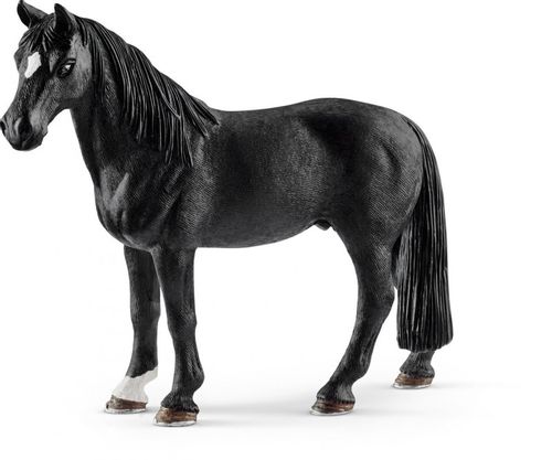 Wałach Rasy Tennessee Walker na Arena.pl