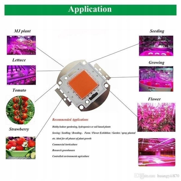 NOWOŚĆ HALOGEN GROW 100W led DO UPRAWY ROŚLIN W-WA zdjęcie 5