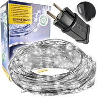 LAMPKI DRUCIKI micro 300 LED Programator MIKRO