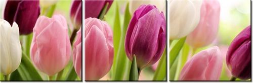 90 80CM OBRAZ T3 ELEM SOCZYSTE TULIPANY DRUK ŚCIENNY na Arena.pl