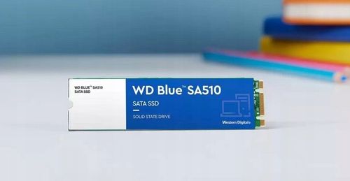 Dysk SSD WD Blue SA510 1TB M.2 na Arena.pl