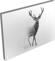 OBRAZ na płótnie zwierzęta jeleń we mgle 120x80