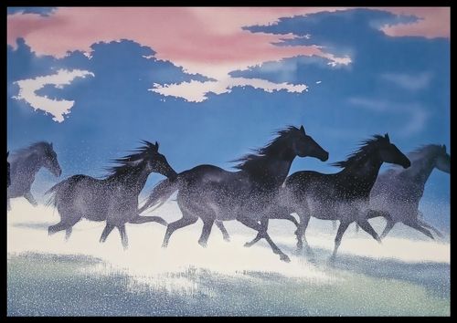 Plakat 66,5x46,5cm Wolność i Swoboda na Arena.pl