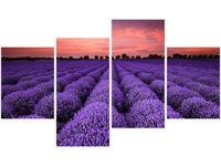 OBRAZ LAWENDOWY GAJ SUNSET