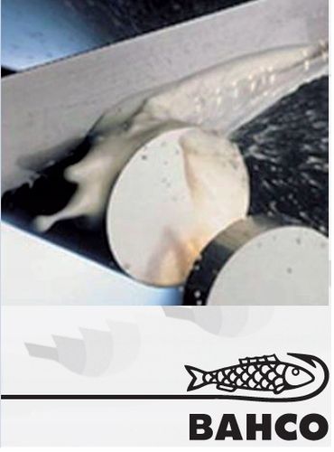 Brzeszczot do piły PARKSIDE PMB 1140x13x0.6 8/12 piła taśmowa BAHCO na Arena.pl