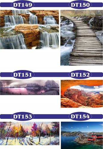 FOTOTAPETY 3d widoki brzozy las drzewa tory most na Arena.pl