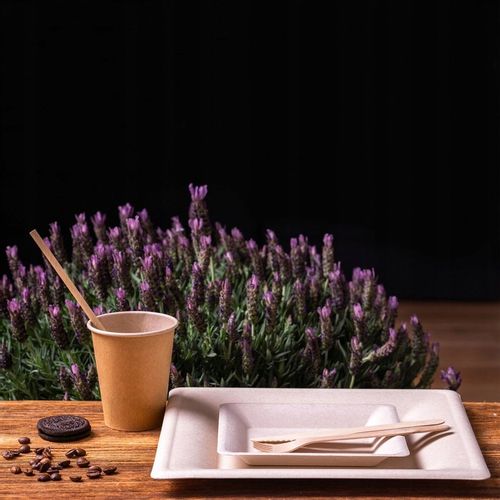 Zestaw z trzciny cukrowej kwadratowy brąz/12 osób na Arena.pl