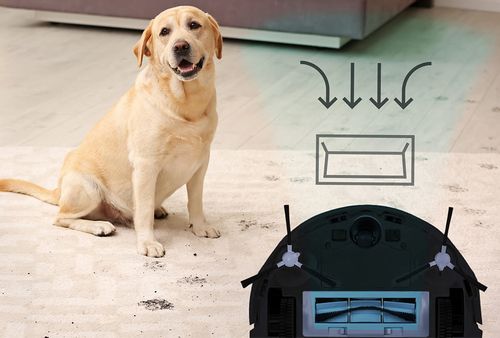 Odkurzacz jeżdzący Kiano Elegance Robot na Arena.pl