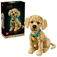 LEGO Icons 11384 Szczeniak Golden Retriever Pies Ruchoma Figurka 2102 el.
