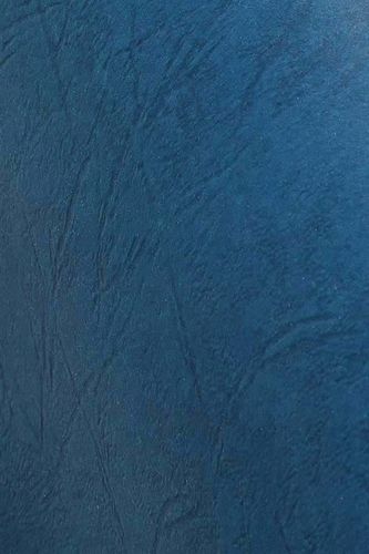 KARTON DELTA SKÓROPOD. A4 NIEBIESKI (100) 2247 na Arena.pl