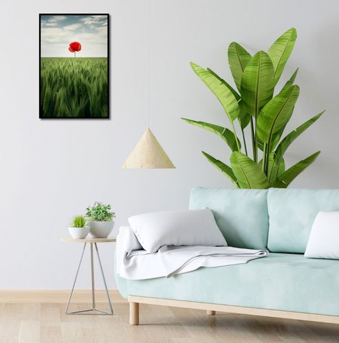 Plakat 40x60cm Samotny Mak na Polu na Arena.pl