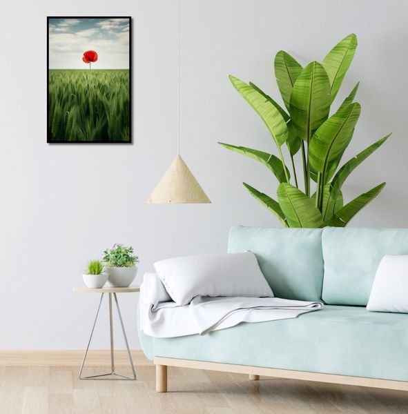 Plakat 40x60cm Samotny Mak na Polu zdjęcie 4