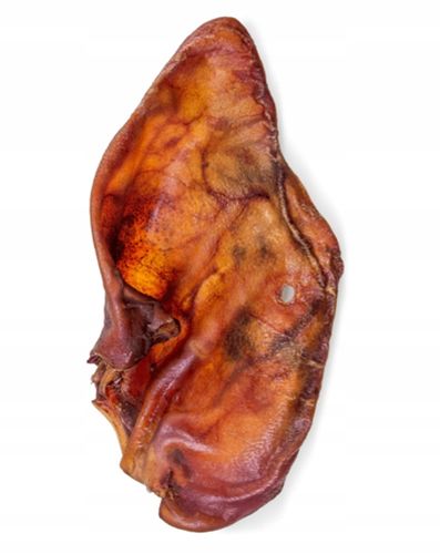 Petmex Naturalny Gryzak Przysmak dla Psa Ucho Wieprzowe 10 szt Smaczek na Arena.pl