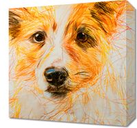 product-compare-59494118