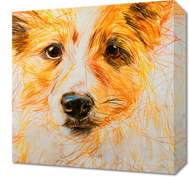 Obraz 40x40cm Uroczy Gość zdjęcie 1