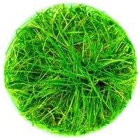 product-compare-61107871