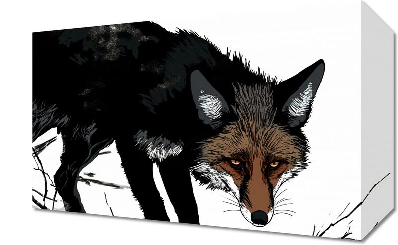 Obraz 30x20cm Nieufny Lis zdjęcie 1