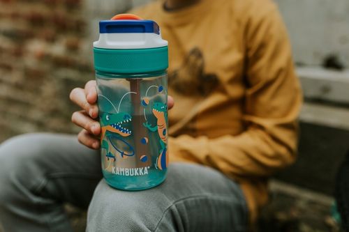 Butelka na wodę dla dzieci Kambukka Lagoon 400ml Juggling Dino na Arena.pl