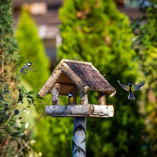 KARMNIK DLA PTAKÓW DUŻY XXL DOMEK DREWNIANY WISZĄCY BUDKA OZDOBA DO na Arena.pl