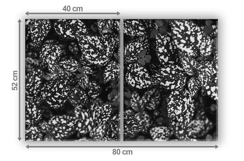 SZKLANA DESKA NA KUCHENKĘ 2x40x52 013D MONO LIŚCIE na Arena.pl