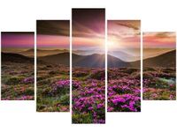 product-compare-58696315