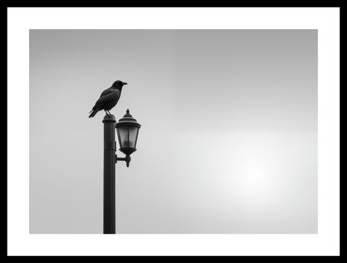 Plakat 42x29,7cm Samotny Postój Kruka na Arena.pl