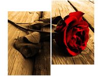 product-compare-58655413