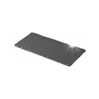 REVOL Basalt Taca Prostokątna 25X12 cm. porcelana francuska