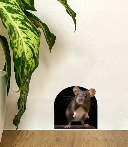 Naklejka realistyczna 3D Naścienna Myszka w Ścianie Mysia Dziura The Mouse na Arena.pl