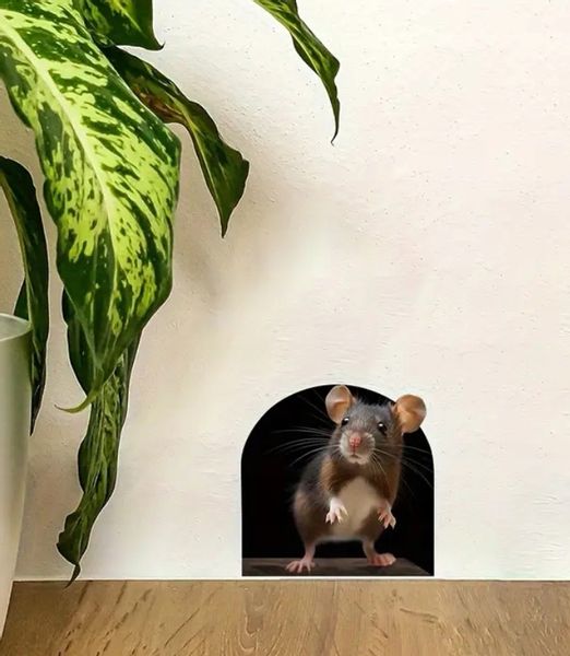 Naklejka realistyczna 3D Naścienna Myszka w Ścianie Mysia Dziura The Mouse zdjęcie 8