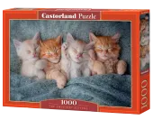 Puzzle 1000 elementów. Najsłodsze kocięta