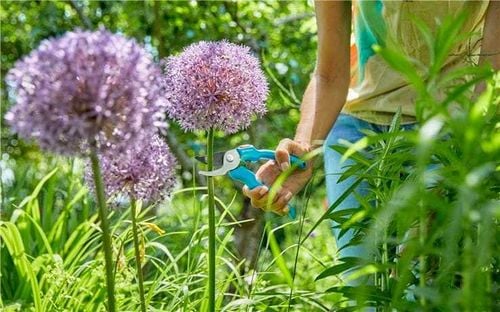 sekator ogrodowy gardena 8754-20 na Arena.pl