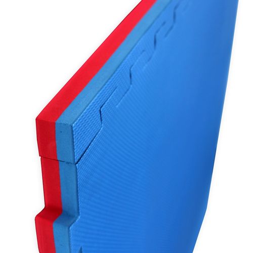 Mata Tatami Master 100 X 100 X 4 Cm na Arena.pl