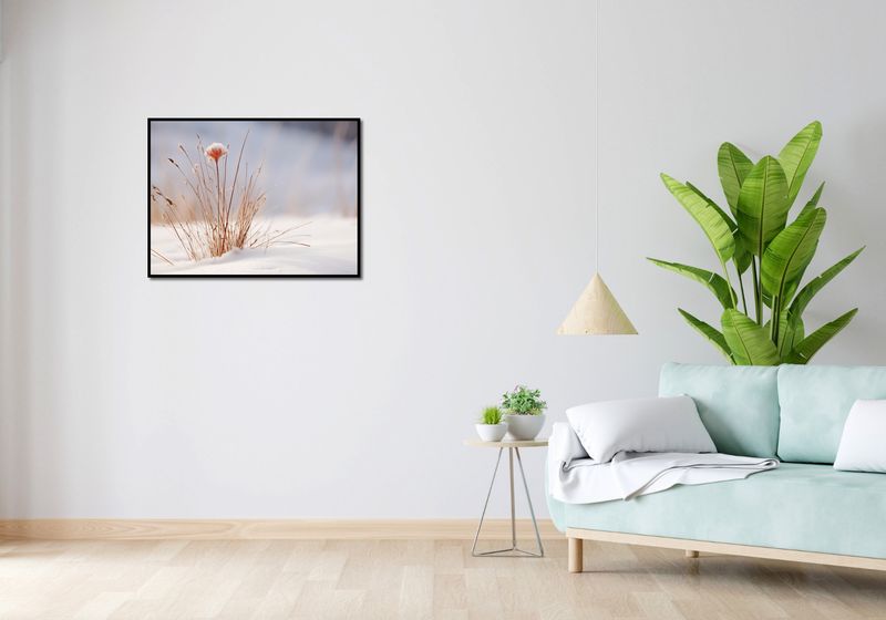 Plakat 80x60cm Zima w Detalach zdjęcie 4