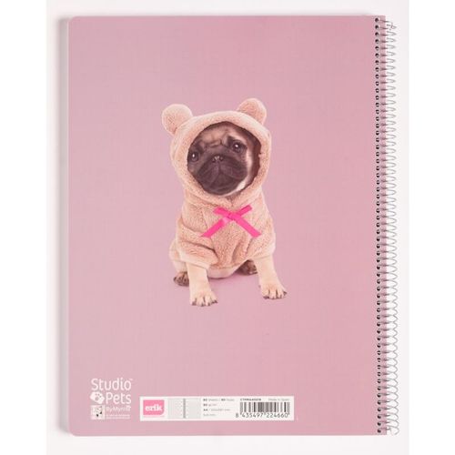Studio Pets - Notatnik / Notes A4 Pies na Arena.pl