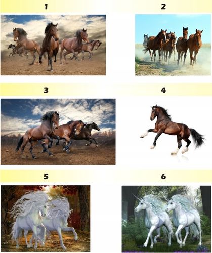 FOTOTAPETA zwierzęta brodzące FLAMINGI animacja na Arena.pl