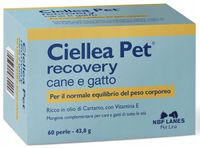 CIELLEA PET RECOVERY 30 KAPSUŁEK -  NBF Lanes